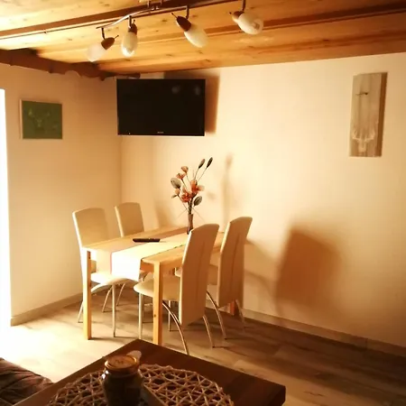 Ekoturizem Vizencar Guest house *