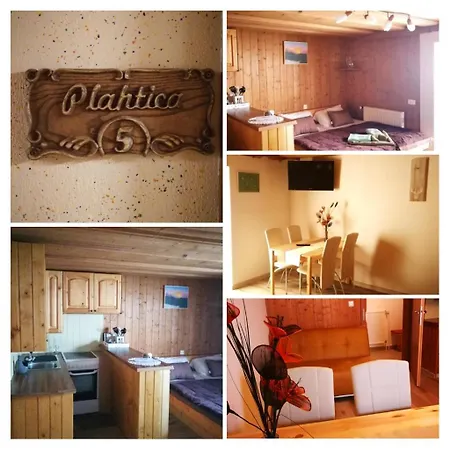 Ekoturizem Vizencar Guest house *