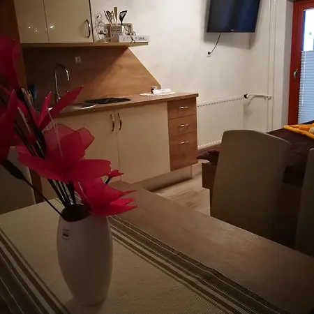 Guest house Ekoturizem Vizencar