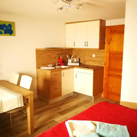 Guest house Ekoturizem Vizencar