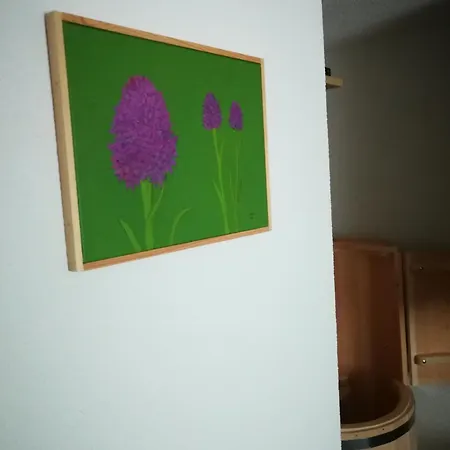 Ekoturizem Vizencar Guest house Cerklje na Gorenjskem