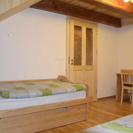 Guest house Ekoturizem Vizencar