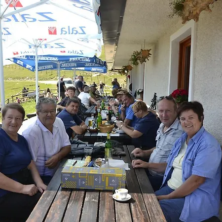 Ekoturizem Vizencar Guest house *
