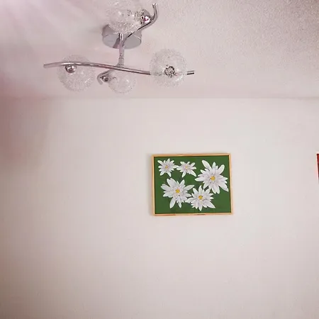 게스트하우스 Ekoturizem Vizencar *