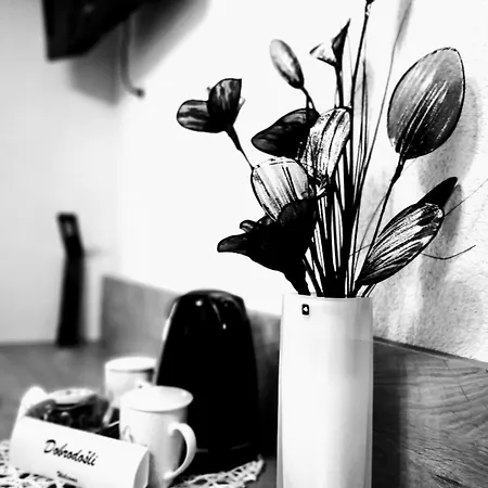 Ekoturizem Vizencar ツェルクニェ・ナ・ゴレニスケム