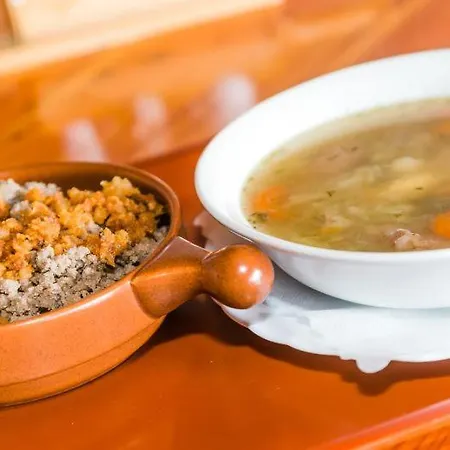 Gostinjska kuća Ekoturizem Vizencar