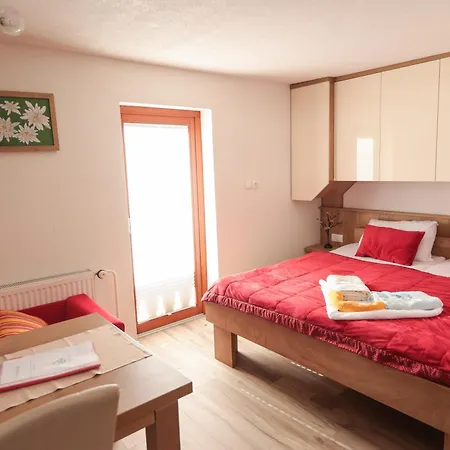 Gostinjska kuća Ekoturizem Vizencar Cerklje na Gorenjskem