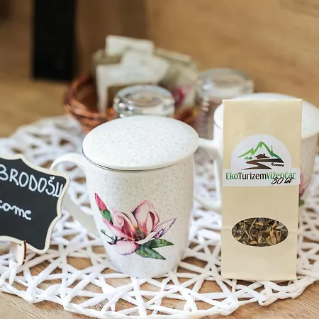 Ekoturizem Vizencar Pensión