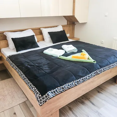 Pensión Ekoturizem Vizencar 3*