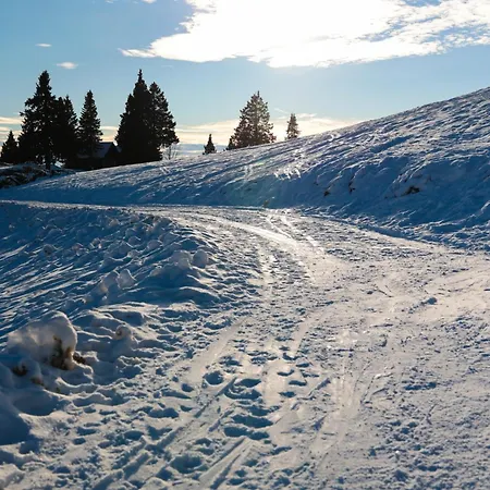 Gostinjska kuća Ekoturizem Vizencar
