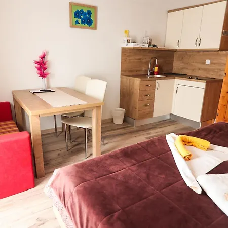 Pensión Ekoturizem Vizencar