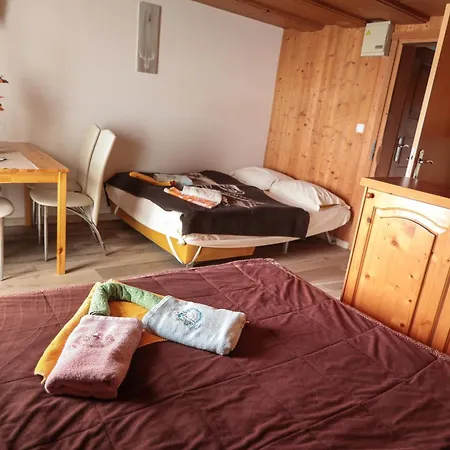 Ekoturizem Vizencar Pensión