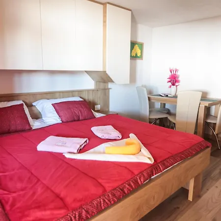 Ekoturizem Vizencar Pensión Cerklje na Gorenjskem