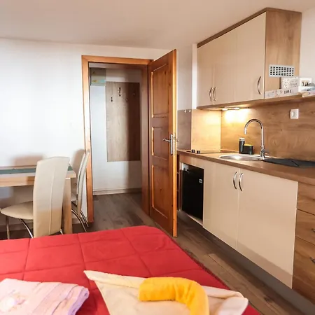 Pensión Ekoturizem Vizencar 3*