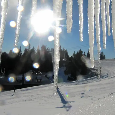 Ekoturizem Vizencar 3*