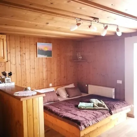 Ekoturizem Vizencar ゲストハウス 3*