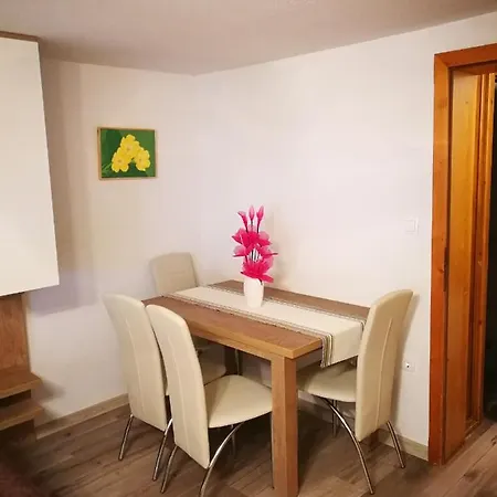 Ekoturizem Vizencar 서클리예나고렌스켐