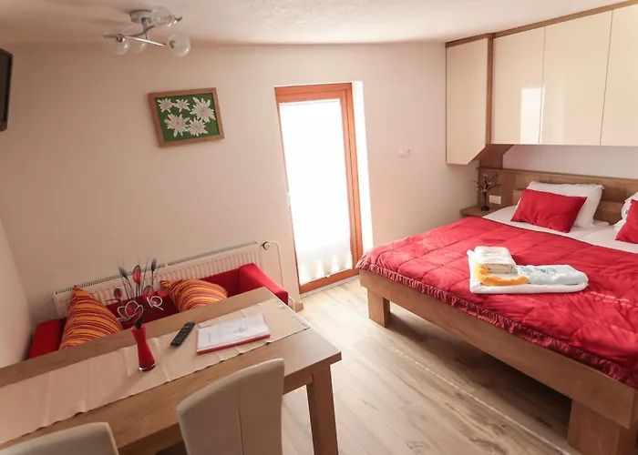 Ekoturizem Vizencar Gæstehus