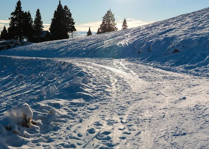 Gæstehus Ekoturizem Vizencar