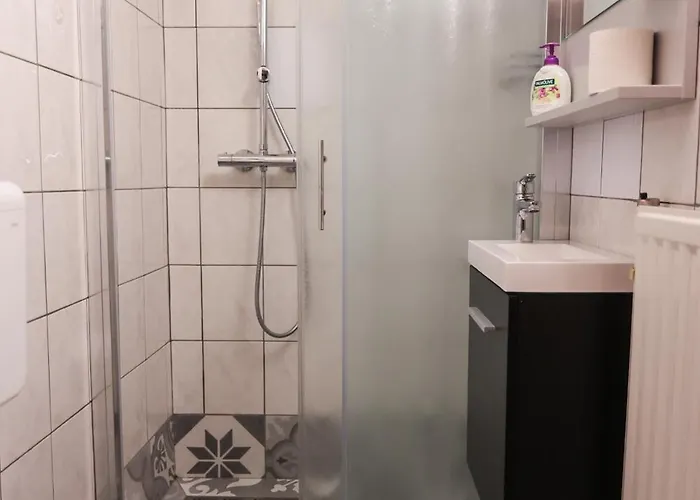 Gæstehus Ekoturizem Vizencar