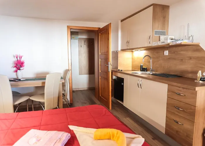 Gæstehus Ekoturizem Vizencar 3*