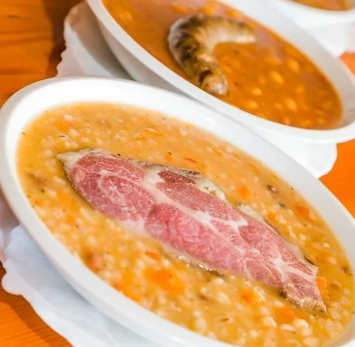 Ekoturizem Vizencar Gæstehus