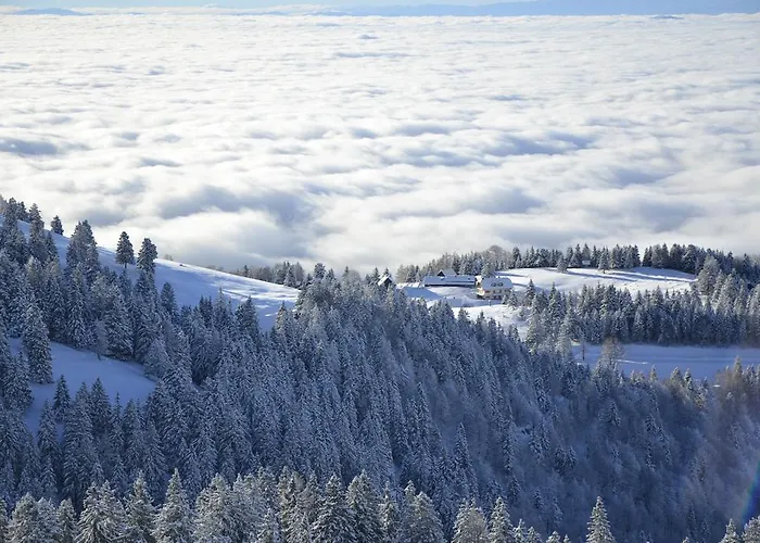 Ekoturizem Vizencar Gæstehus Cerklje na Gorenjskem