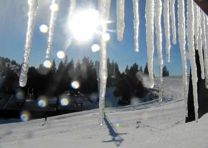 Ekoturizem Vizencar 3*